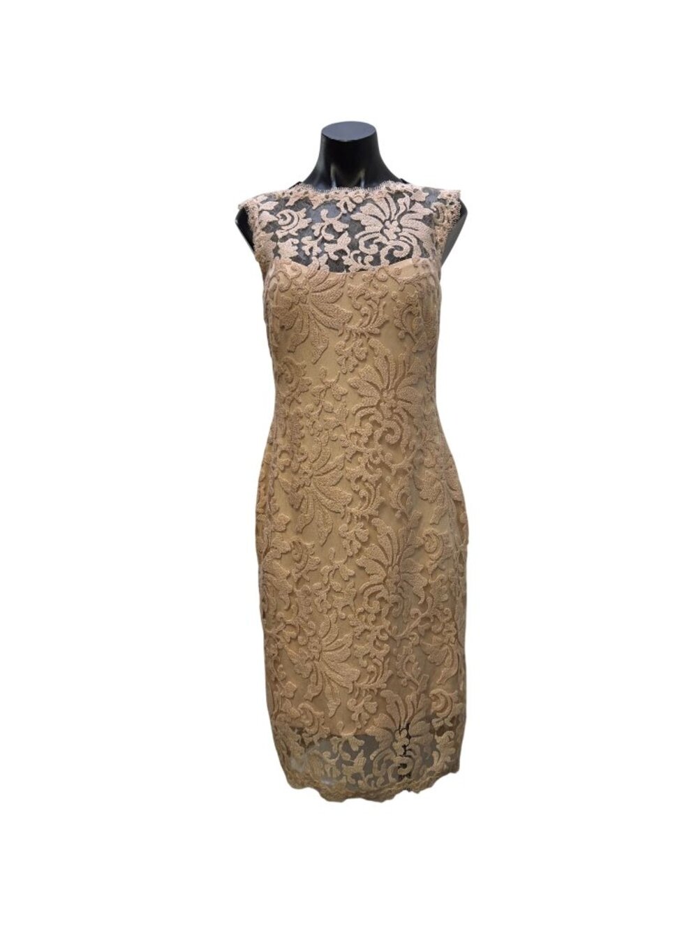 Tadashi Shoji Pink Lace Sleeveless Cocktail Dress Size 6